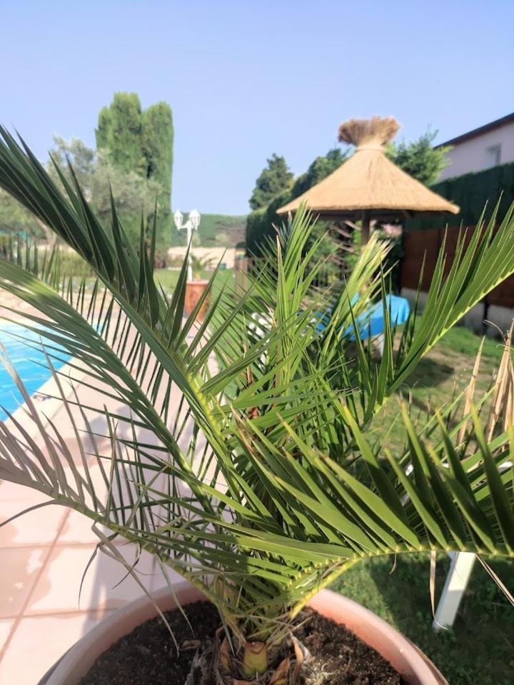 De L'olivier Hébergement de vacances