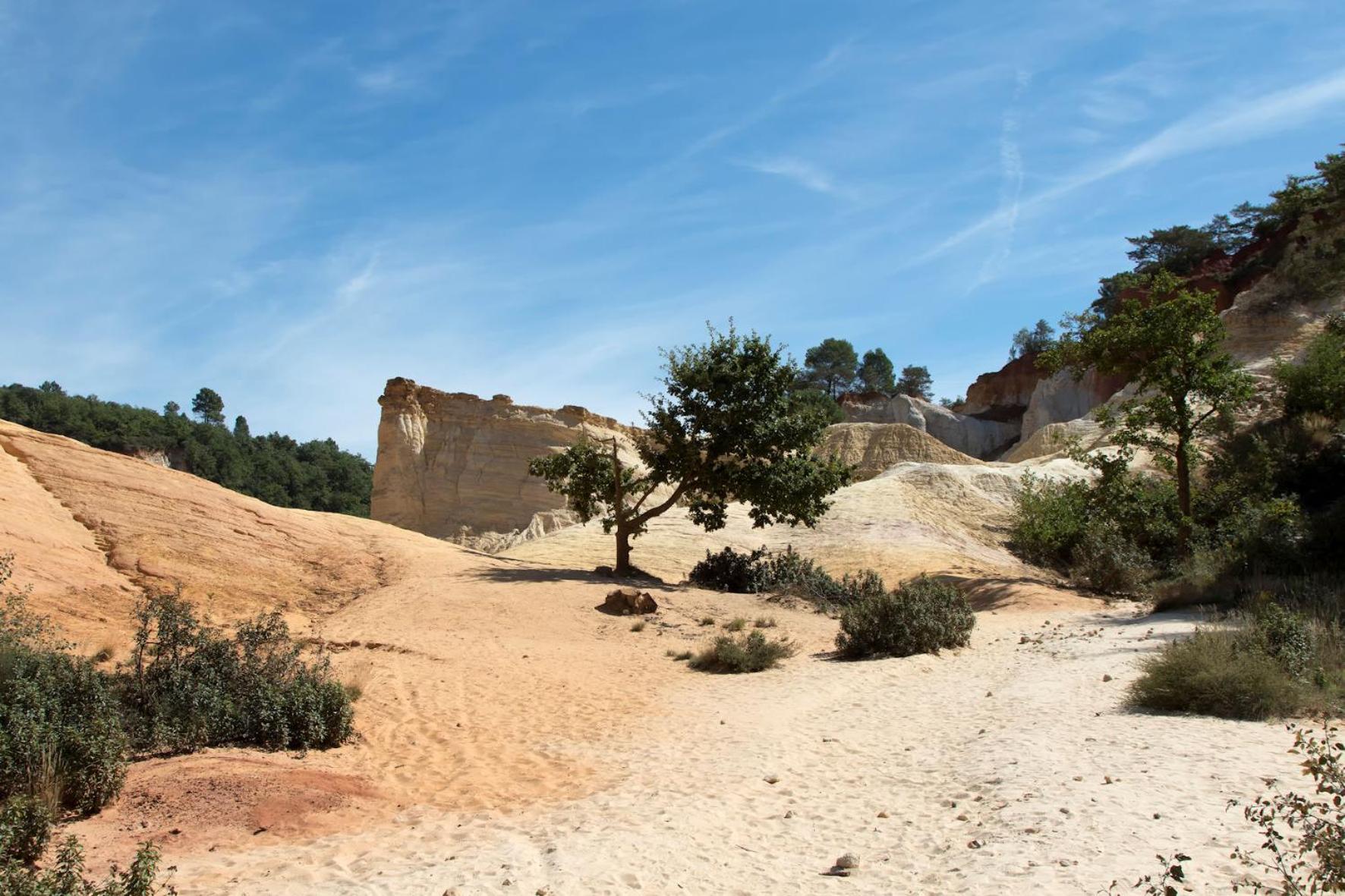 De L'olivier Hébergement de vacances Aramon